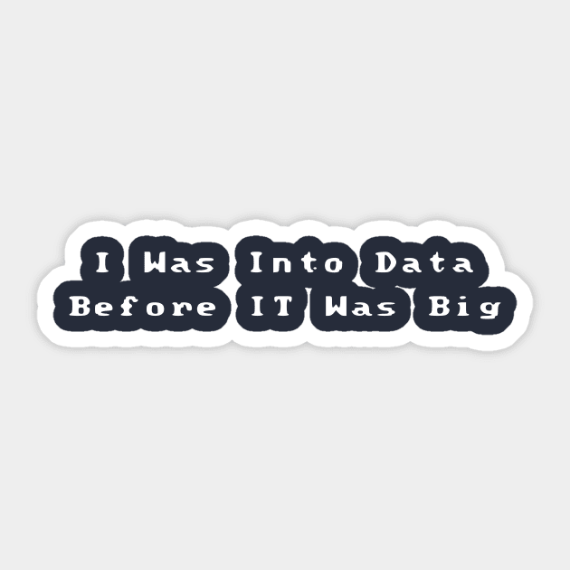 I Was Into Data Before It Was Big Sticker by Humorable